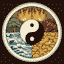 5 Elemente der TCM im Kreis angeordnet um ein Yin-Yang Symbol
